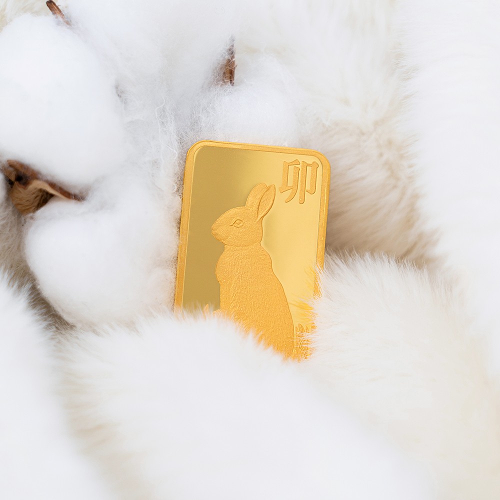 토끼 골드바요약정보 및 구매